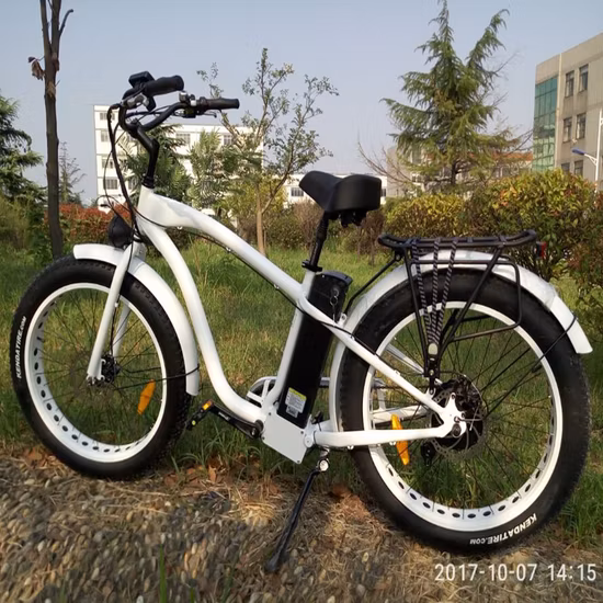 500W/750W Bafun Bafang Motor Fat Tire Mountain Bicicleta eléctrica al por mayor