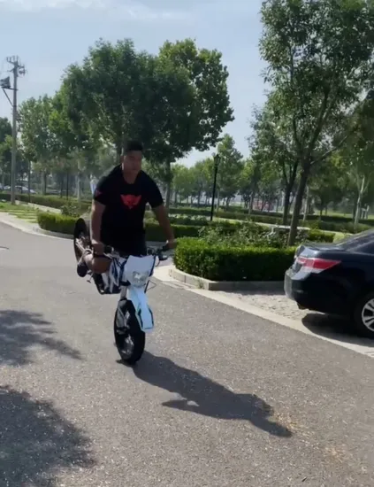 2023 Admitjet Amor Emotorcycle para adultos, la mejor bicicleta de montaña eléctrica, motocicleta Enduro rápida de 12000W, bicicleta eléctrica de Cross